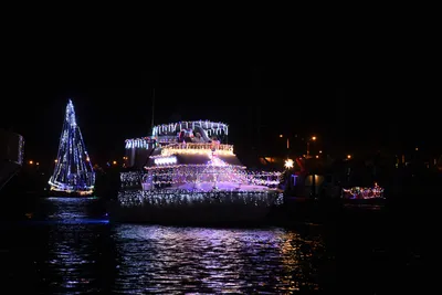 DSC_2497 (Large).JPG